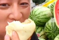 广东阿姨吃瓜视频,一场接地气的美食盛宴