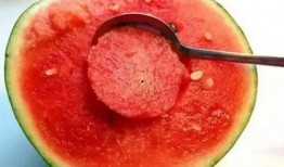 木姐吃瓜新闻视频,揭秘娱乐圈幕后故事