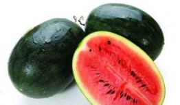 可以吃瓜的名字,探寻那些令人垂涎欲滴的美食传奇