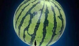 子晗吃瓜,揭秘娱乐圈幕后故事