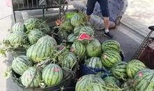 曲阜师范吃瓜事件,揭秘校园网络舆论风波