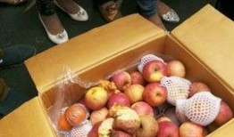 民心佳园吃瓜,邻里瓜语，共享社区温馨时光