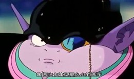 吃瓜动漫综艺,动漫综艺中的趣味解读