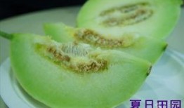 吃玉菇瓜照片,色泽诱人，口感鲜美