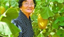 敬嫔吃瓜,宫廷秘闻背后的娱乐盛宴