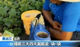 一线嘎嘎吃瓜,揭秘娱乐圈幕后故事