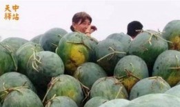 国贸吃瓜现场视频