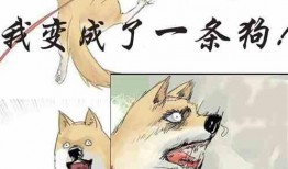 吃瓜话唠小说,揭秘娱乐圈那些不为人知的秘密