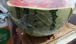 宁夏银川吃瓜大王,瓜王争霸，瓜香四溢的甜蜜之旅