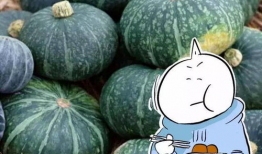 吃瓜cha,吃瓜群众视角下的娱乐圈风云录