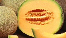 哈密瓜的籽可以吃吗,美味与营养的双重享受