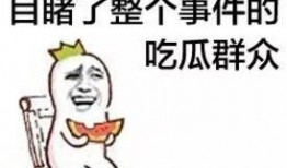 吃瓜群众被打配音