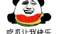 微信添加吃瓜表情,微信表情新宠
