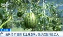 广西吃瓜群众名称