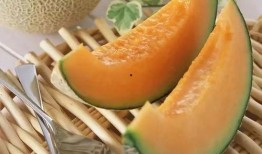 葵葵吃哈密瓜,葵葵的哈密瓜美食之旅