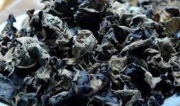 孕妇可以吃木耳瓜,木耳瓜助力母婴健康