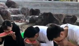 吃瓜男的跑了吗,追踪事件背后