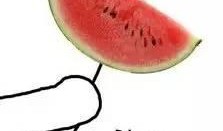 甜美吃瓜图片,共享夏日清凉时光