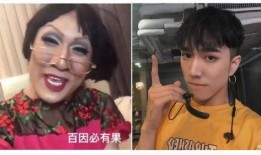 韩美娟吃瓜,揭秘娱乐圈背后的秘密与真相