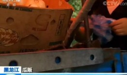 一线嘎嘎吃瓜,揭秘娱乐圈幕后故事