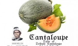 吃瓜号可信吗,如何辨别网络信息的真伪