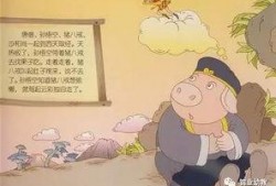 中二的吃瓜观众