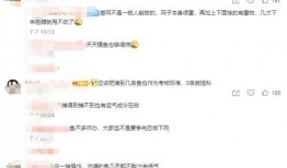 吃瓜神仙比赛,吃瓜神仙比赛精彩回顾