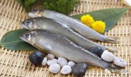 吃瓜不吐鱼,揭秘娱乐圈的幕后真相