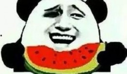 二狗带你吃瓜,二狗带你领略娱乐圈的“瓜田”盛景