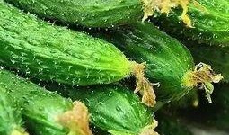 沐雅吃大瓜,娱乐圈大瓜背后的真相