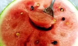 你喜欢吃脆瓜还是沙瓜呢,脆瓜与沙瓜的口感对决