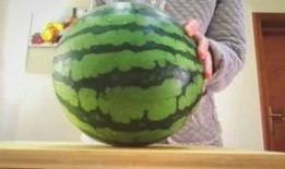 老是喜欢吃瓜,揭秘老饕的瓜味人生