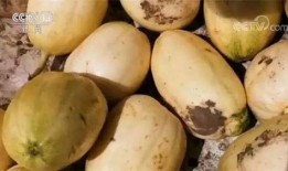 一线嘎嘎吃瓜,揭秘娱乐圈幕后故事