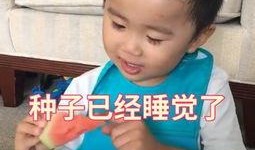 吃瓜话唠小说,揭秘娱乐圈那些不为人知的秘密