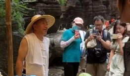 佛系在线吃瓜,笑看风云