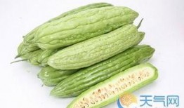 小时候吃凉瓜视频下载