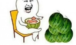 圈圈吖吃瓜网,揭秘娱乐圈最新热点，带你领略幕后故事