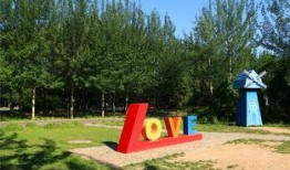 朝阳公园线下吃瓜,趣味横生的夏日街头盛宴