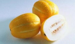 怀孕初期可以吃葫芦瓜吗,葫芦瓜的营养益处与食用建议