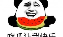 捡瓜群众吃瓜群众搞笑段子,捡瓜群众与吃瓜群众的欢乐段子集锦