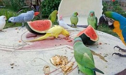 思玄吃瓜,揭秘娱乐圈背后的那些事儿