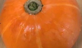 狗头瓜和红小豆一起吃吗,狗头瓜与红小豆的搭配食用指南