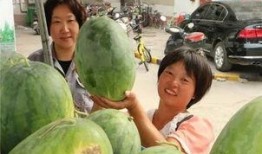 车停在路边吃瓜,悠闲吃瓜，感受夏日时光