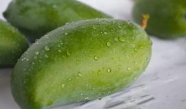 桂哥吃瓜总结,揭秘娱乐圈幕后故事