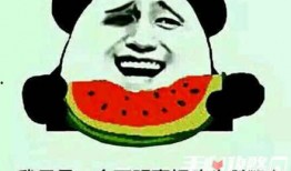 你吃瓜了嘛啥梗,揭秘“吃瓜了嘛”梗背后的网络文化现象