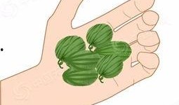 带你吃瓜下雪天,一场别开生面的冬日盛宴