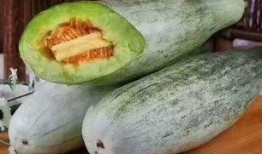 吃蜜瓜包了吗,吃蜜瓜包了吗？揭秘甜蜜诱惑背后的故事