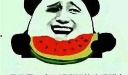 吃瓜群众表示想吃瓜,揭秘吃瓜群众的瓜味人生