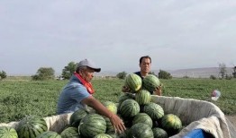 大旗吃瓜,揭秘娱乐圈幕后真相