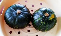 贝贝瓜怎么吃养胃,轻松掌握美味养胃之道